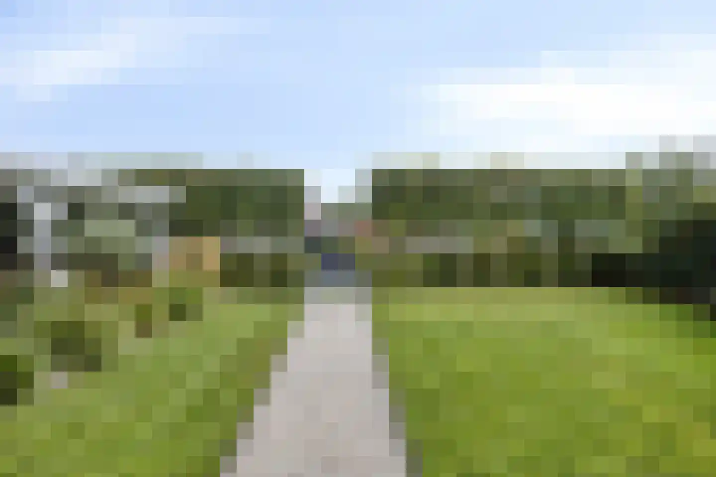 Essenlaan 100 Dirksland thumbnail 36