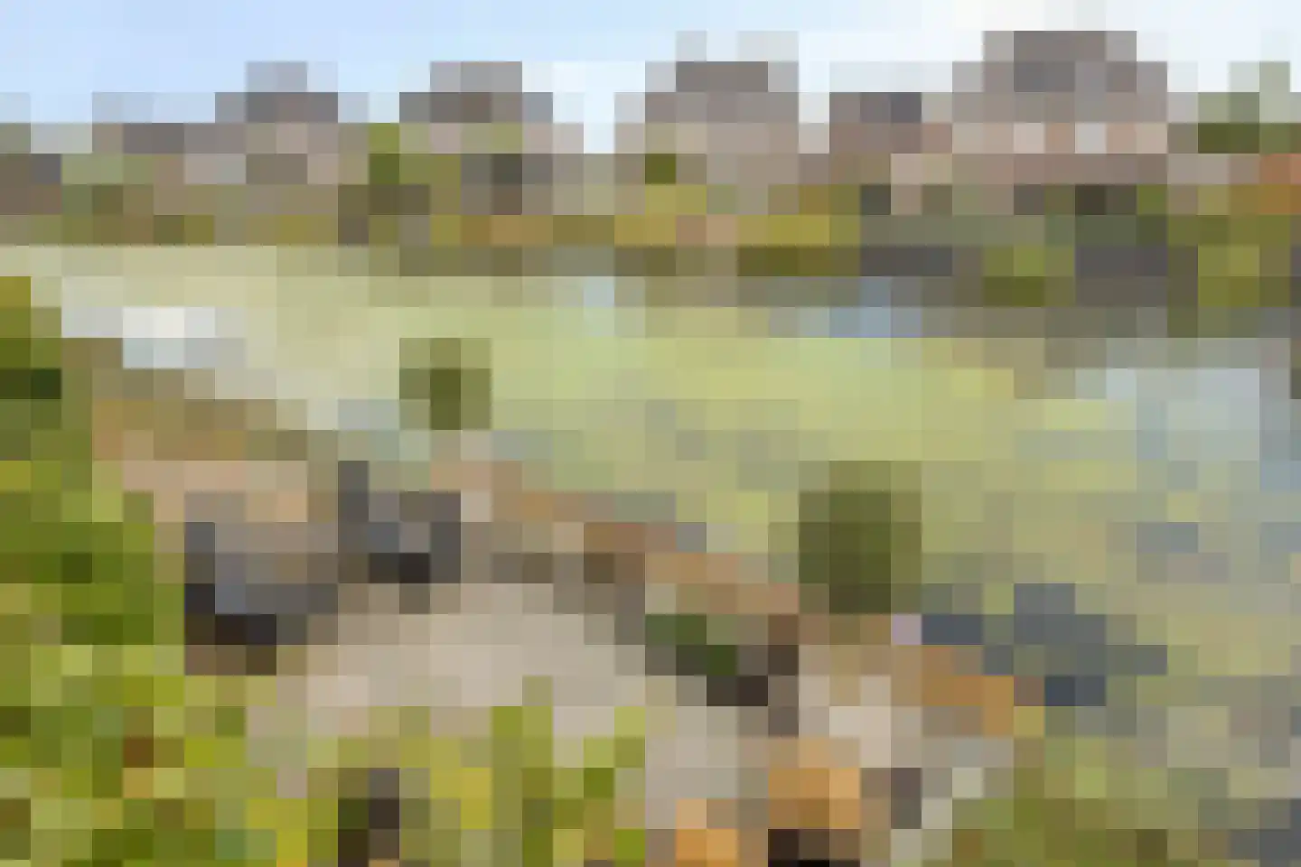 Essenlaan 100 Dirksland thumbnail 39