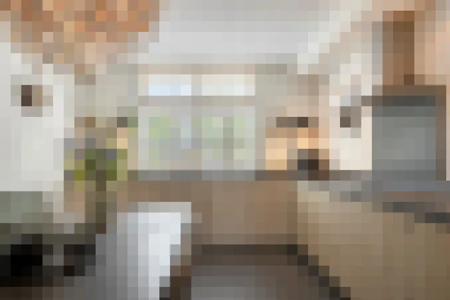 Essenlaan 100 Dirksland thumbnail 4