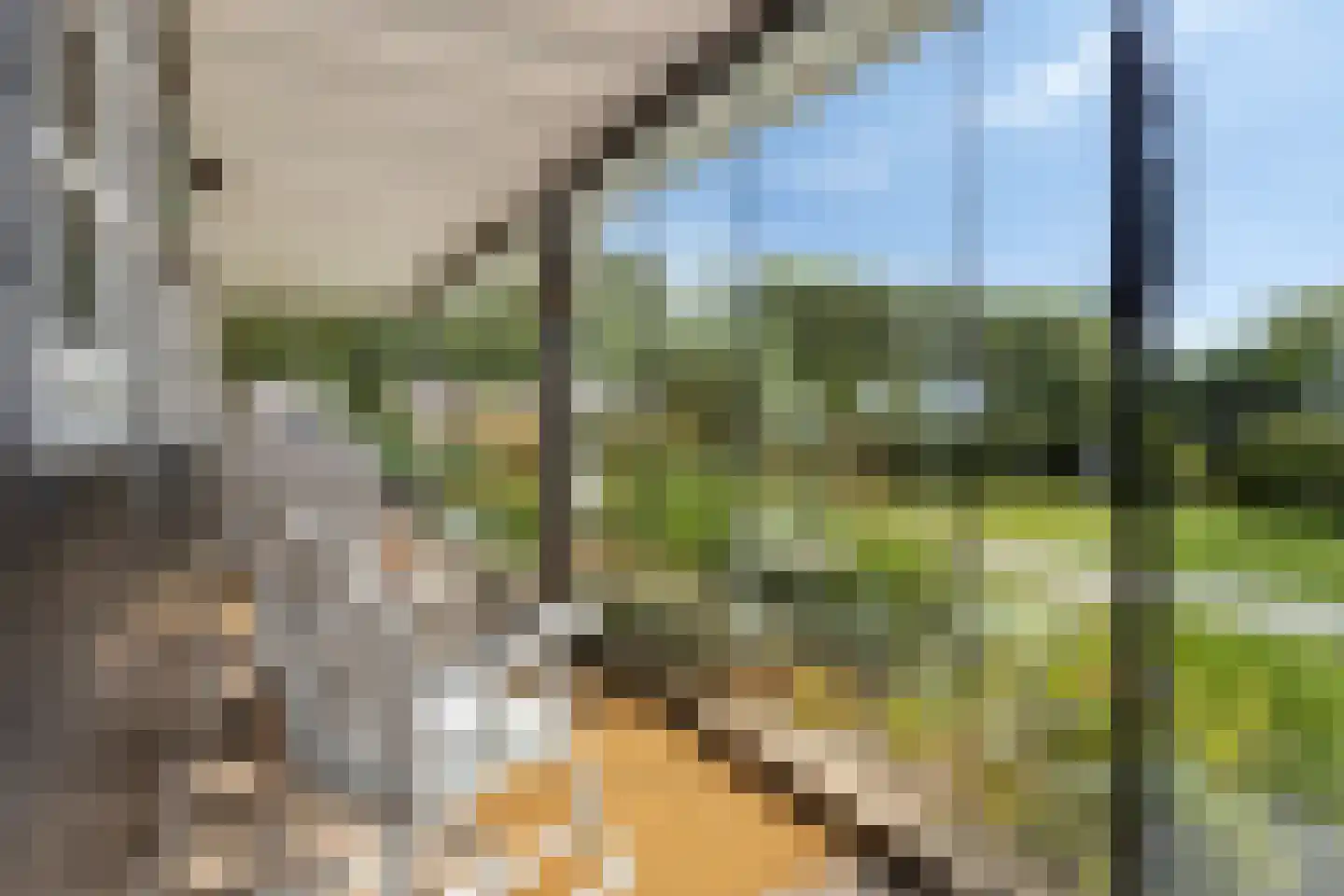 Essenlaan 100 Dirksland thumbnail 40