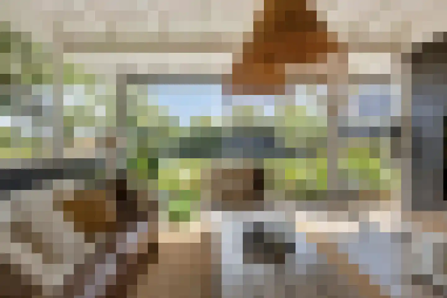 Essenlaan 100 Dirksland thumbnail 42