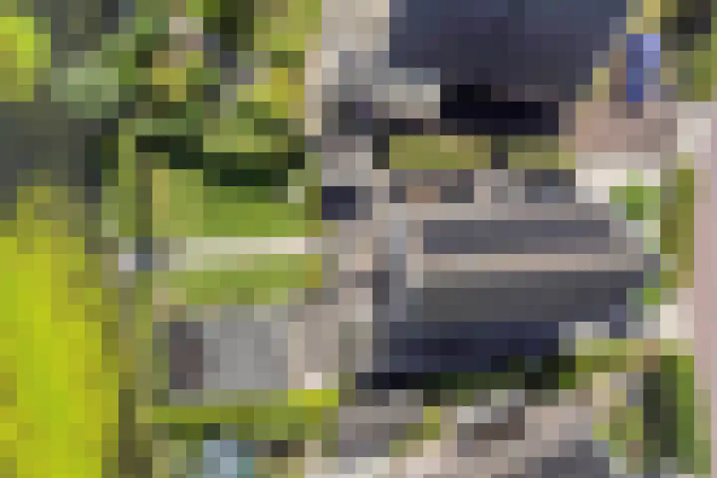 Essenlaan 100 Dirksland thumbnail 43