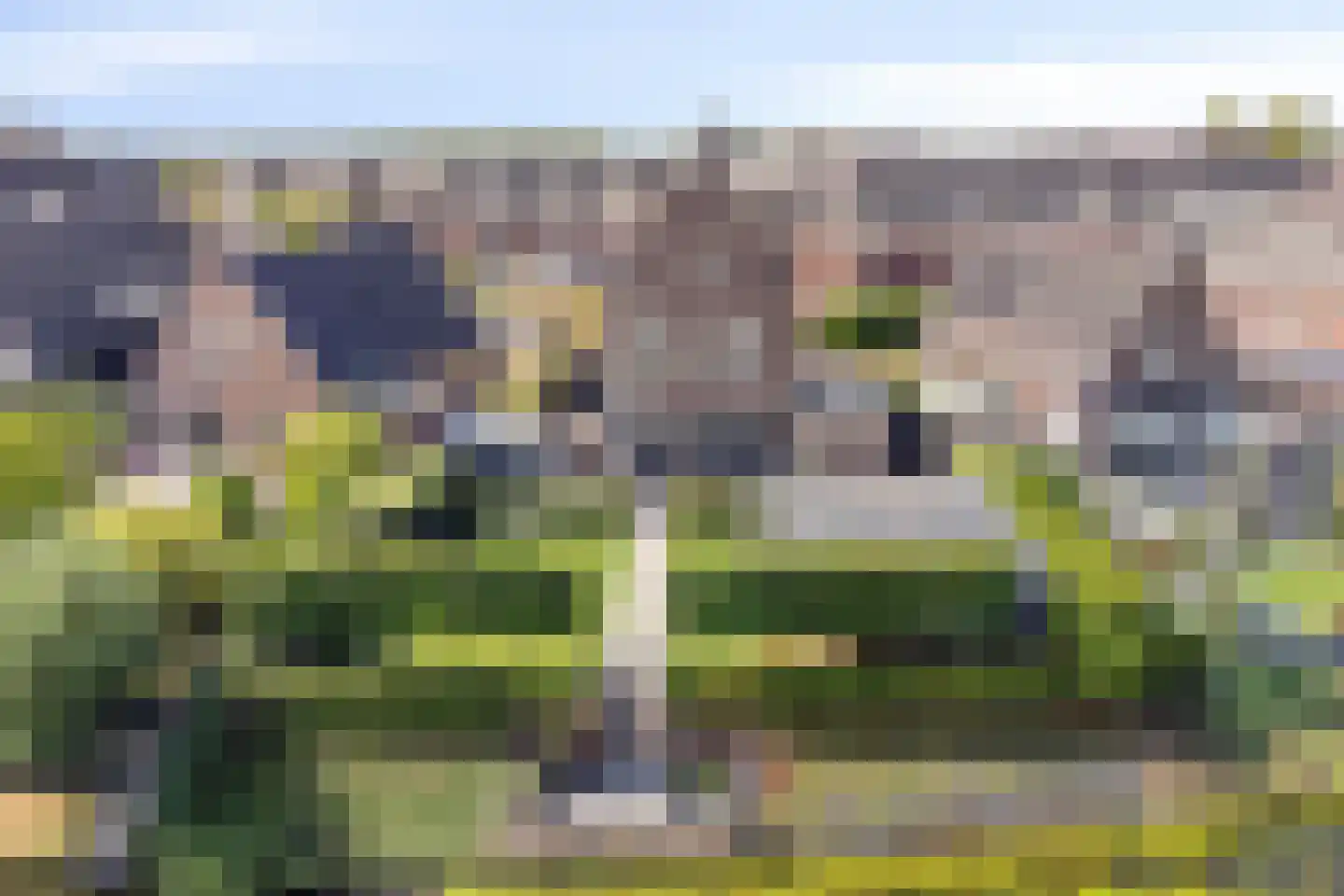 Essenlaan 100 Dirksland thumbnail 44