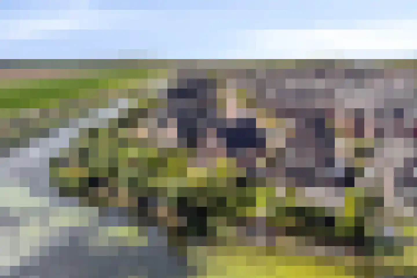 Essenlaan 100 Dirksland thumbnail 45