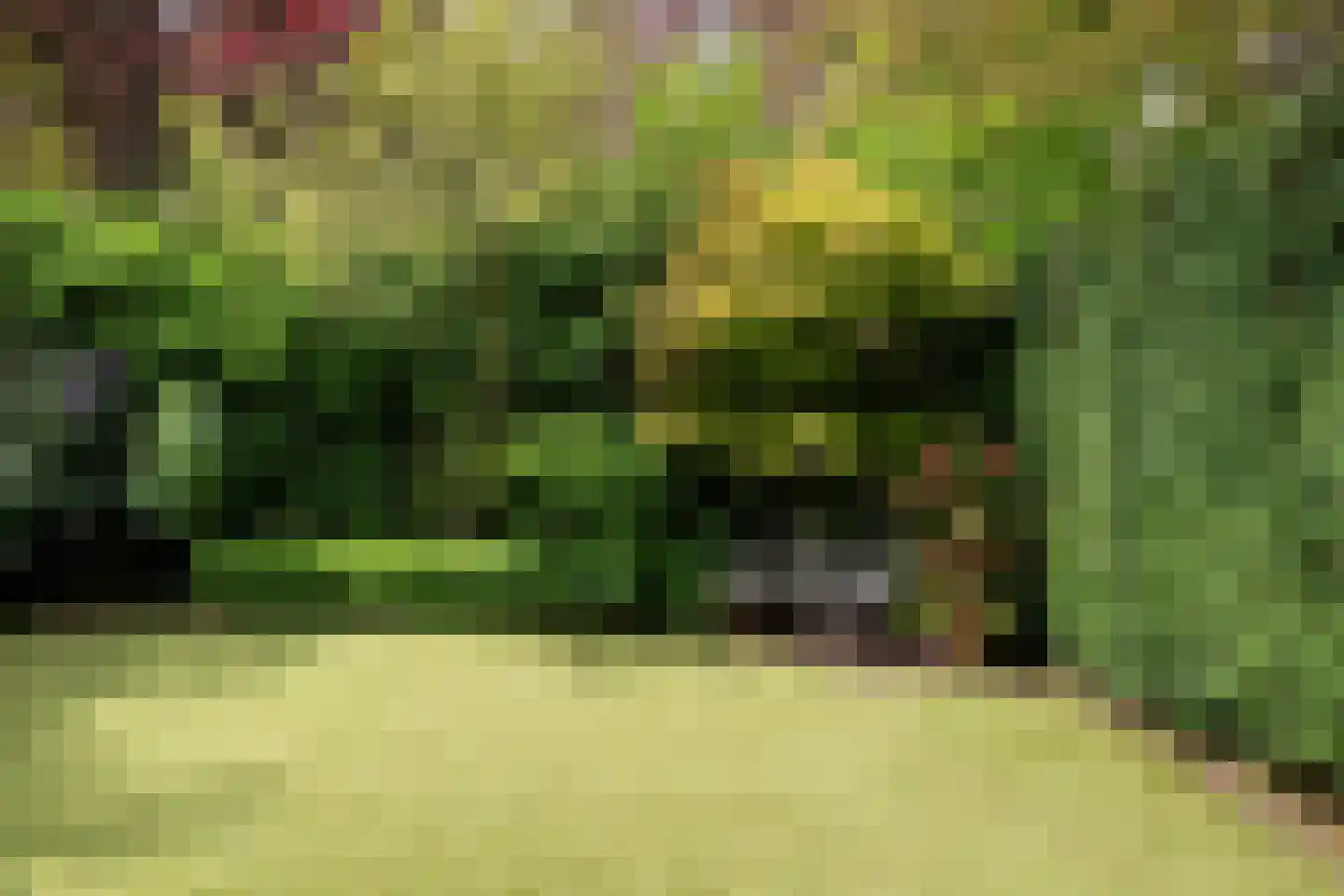 Essenlaan 11 Rotterdam thumbnail 21