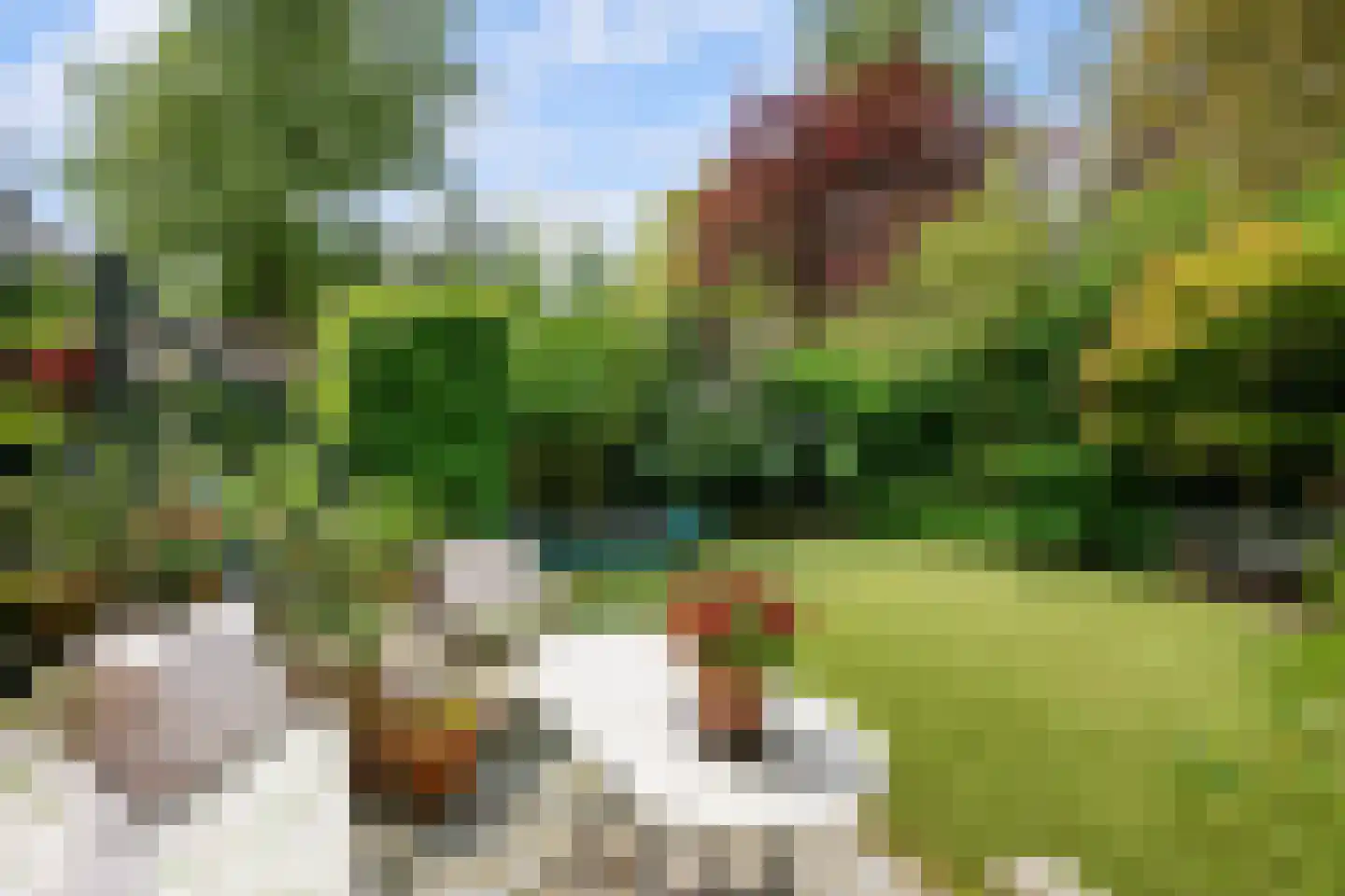 Essenlaan 11 Rotterdam thumbnail 4