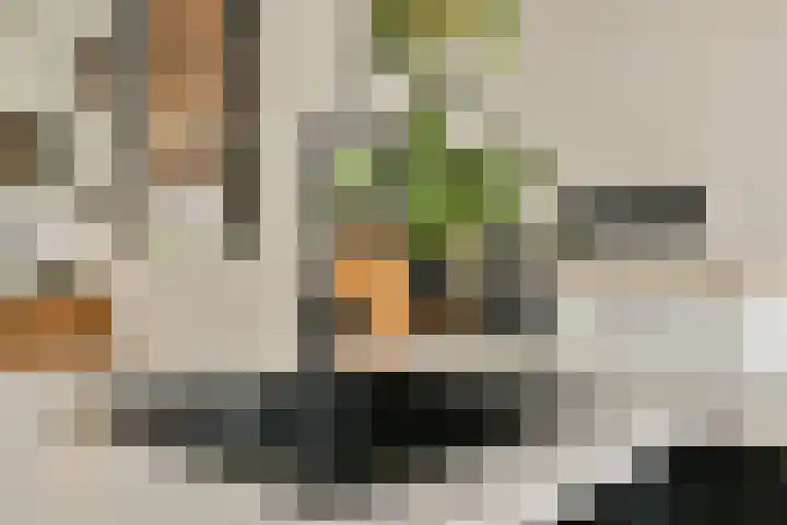 Essenlaan 11 Sassenheim thumbnail 11