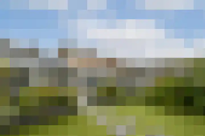 Essenlaan 11 Sassenheim thumbnail 12