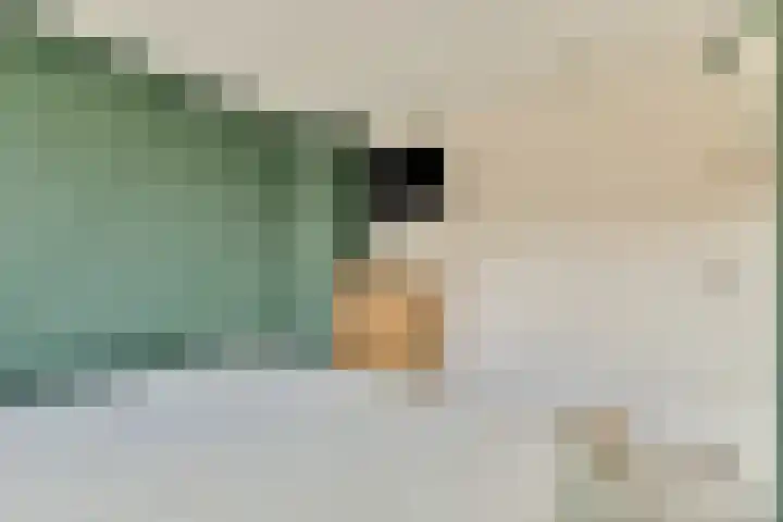 Essenlaan 11 Sassenheim thumbnail 18