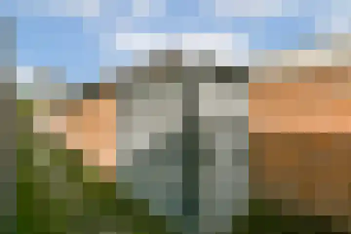 Essenlaan 11 Sassenheim thumbnail 28