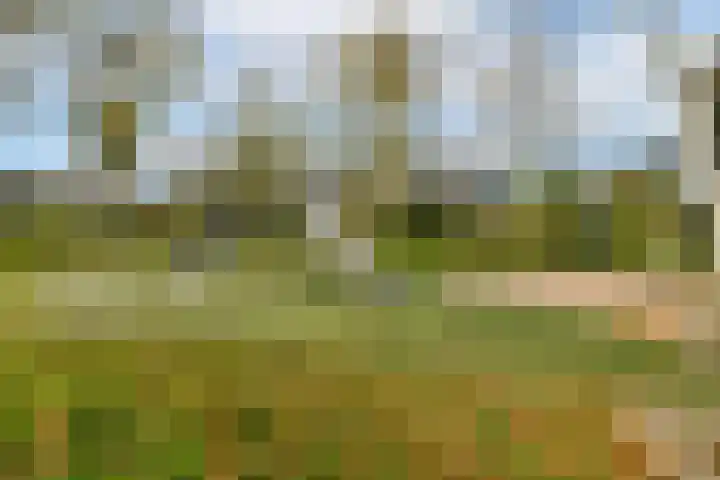 Essenlaan 11 Sassenheim thumbnail 30