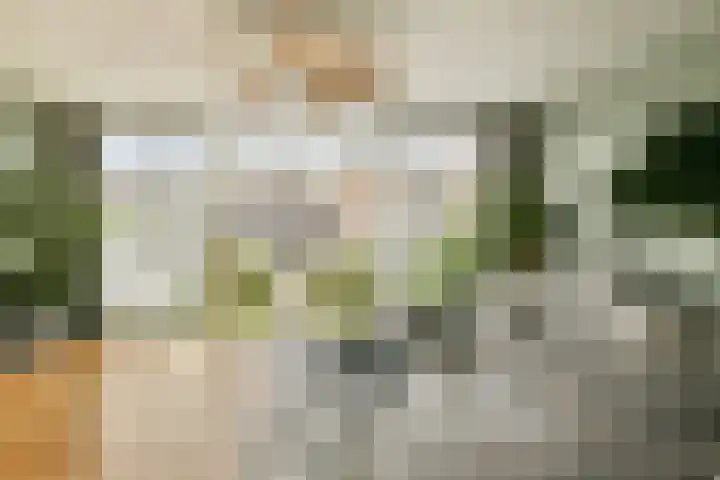 Essenlaan 11 Sassenheim thumbnail 4