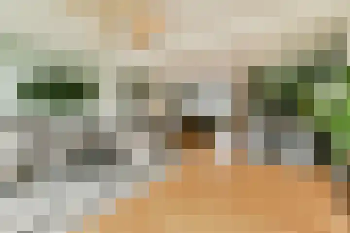 Essenlaan 11 Sassenheim thumbnail 5