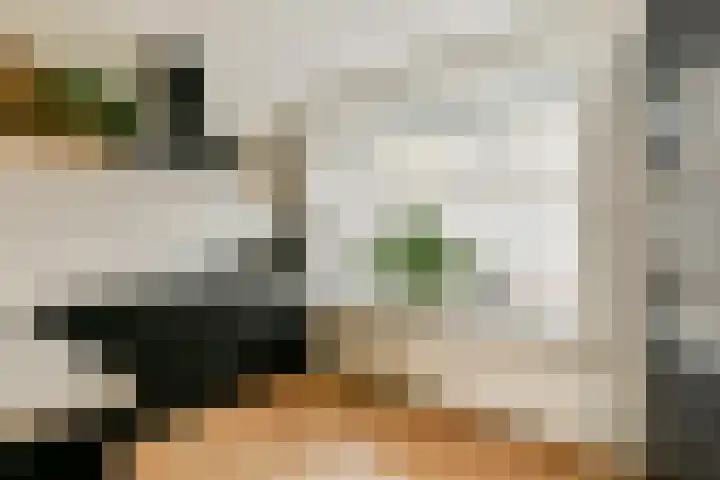 Essenlaan 11 Sassenheim thumbnail 8