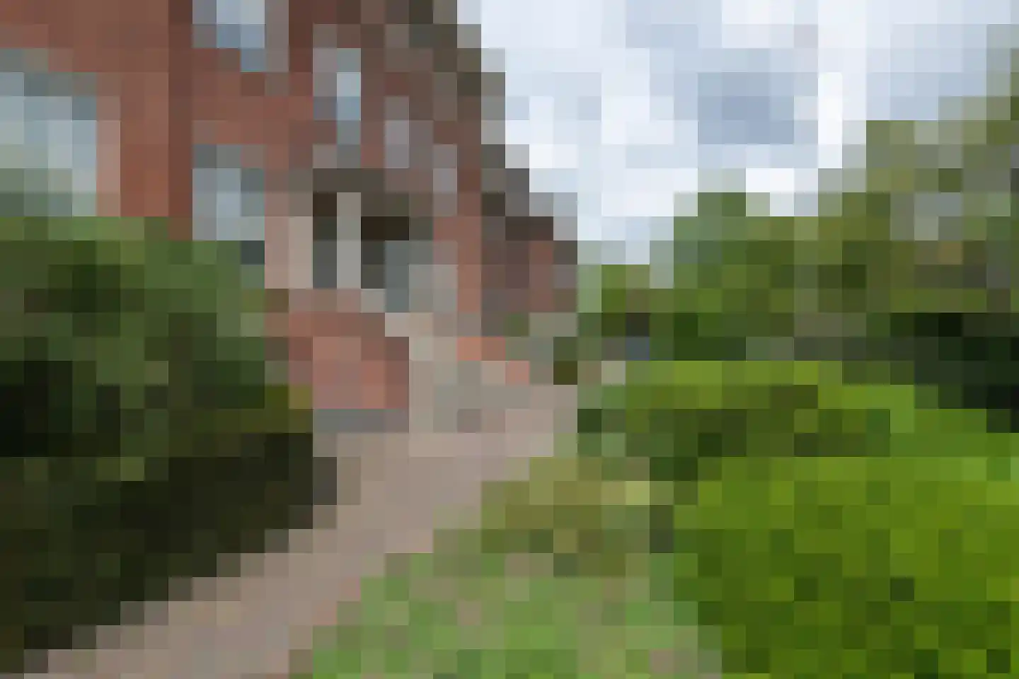Essenlaan 12 c Bloemendaal thumbnail 32