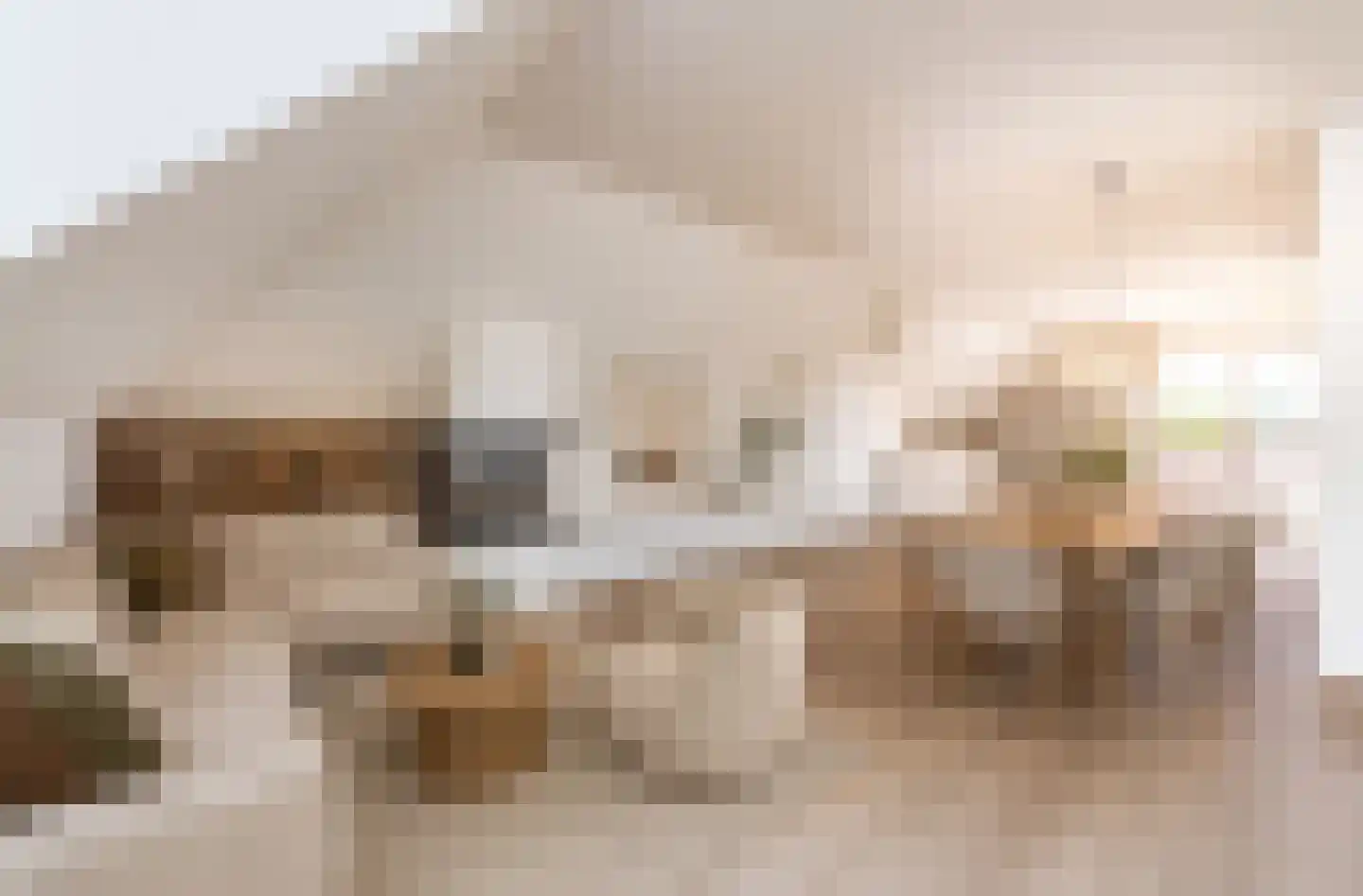 Essenlaan 12 c Bloemendaal thumbnail 8