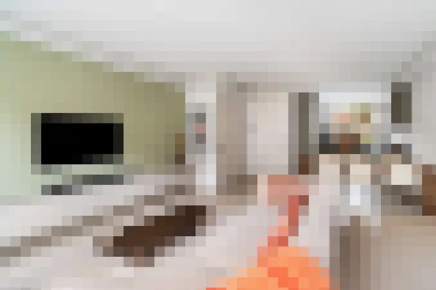 Essenlaan 12 Woudenberg thumbnail 13