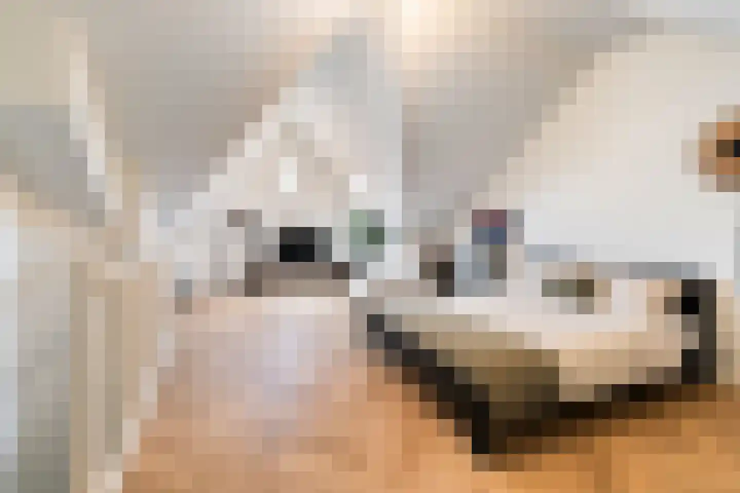 Essenlaan 12 Woudenberg thumbnail 26