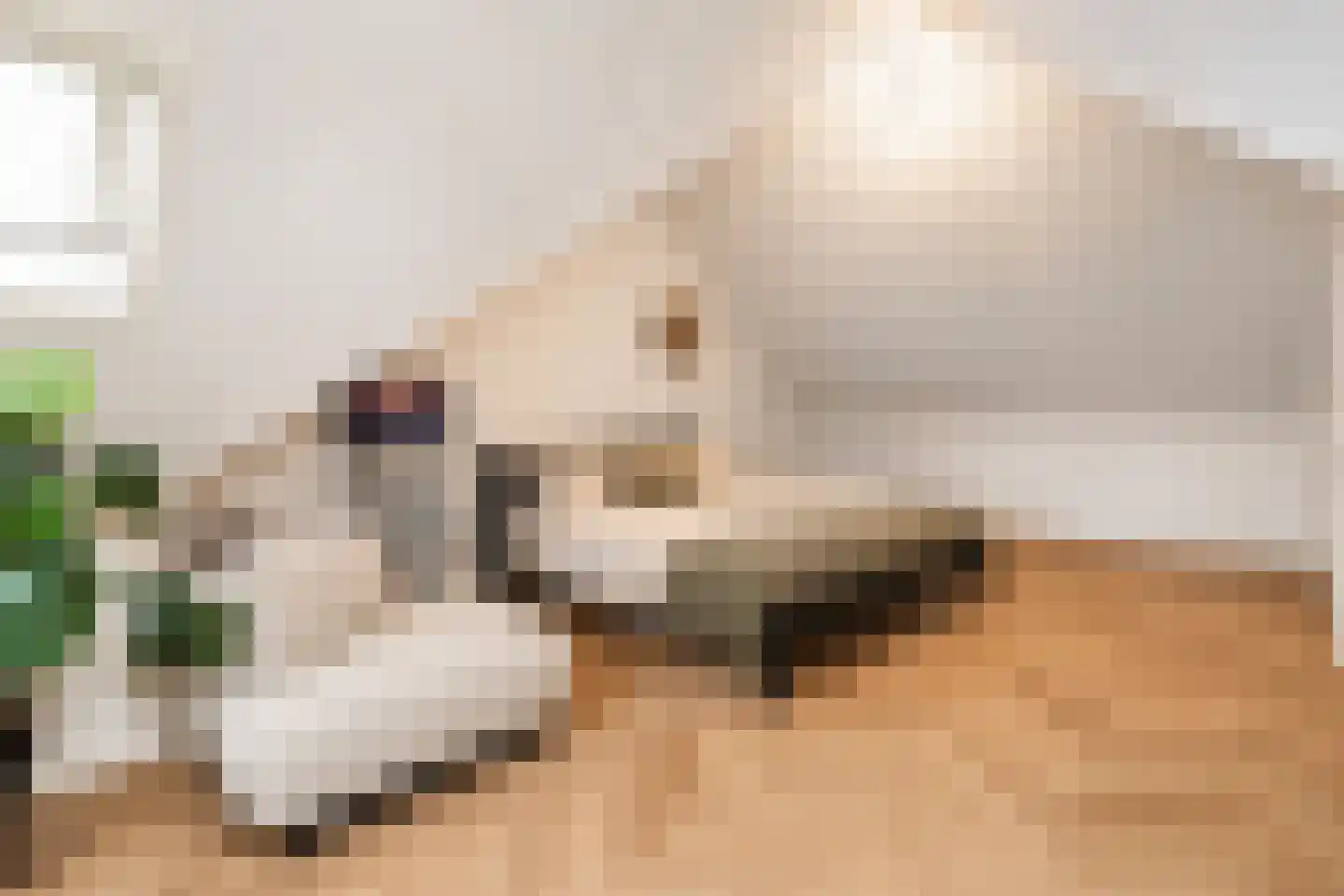 Essenlaan 12 Woudenberg thumbnail 27