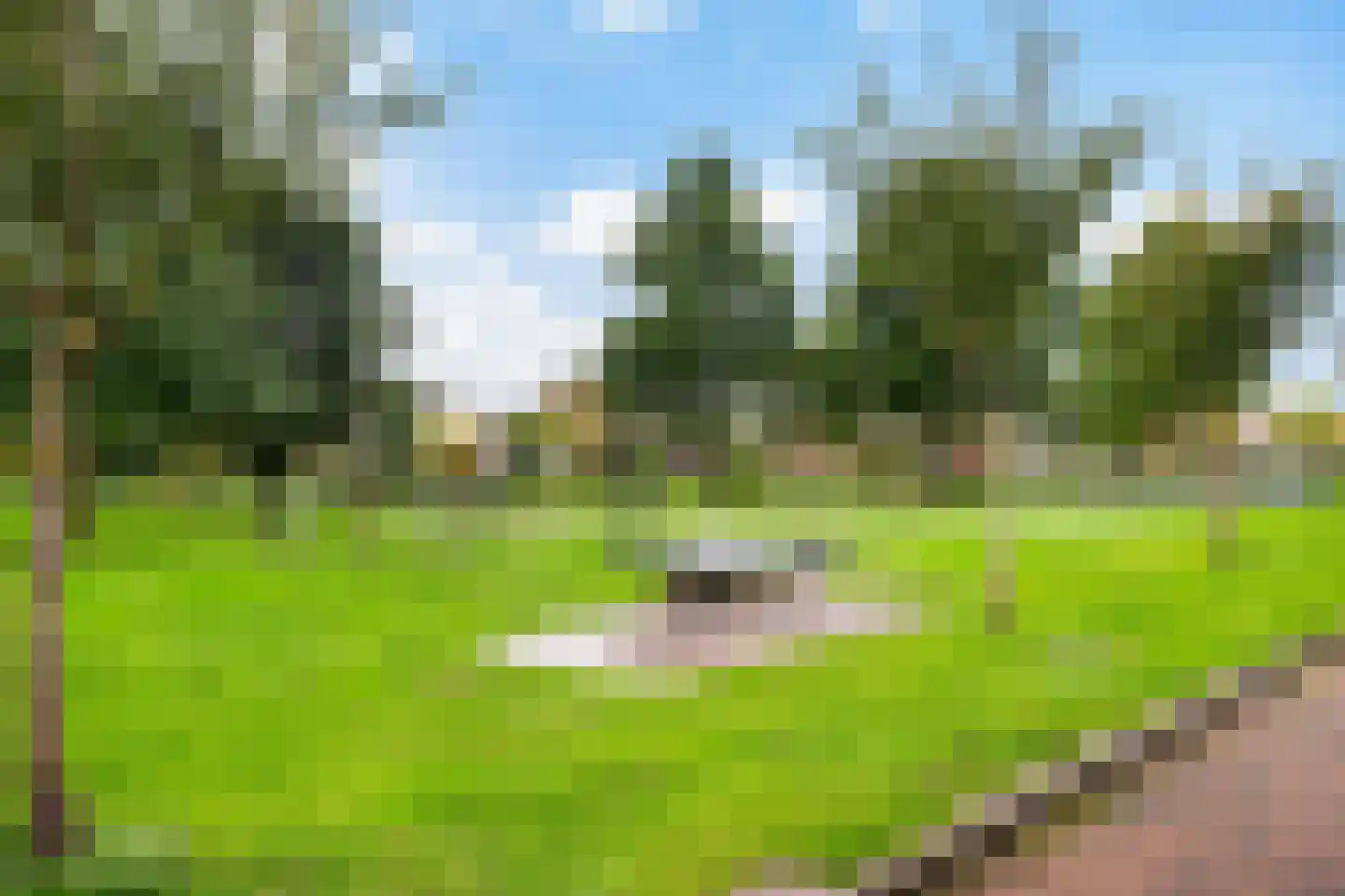 Essenlaan 12 Woudenberg thumbnail 32