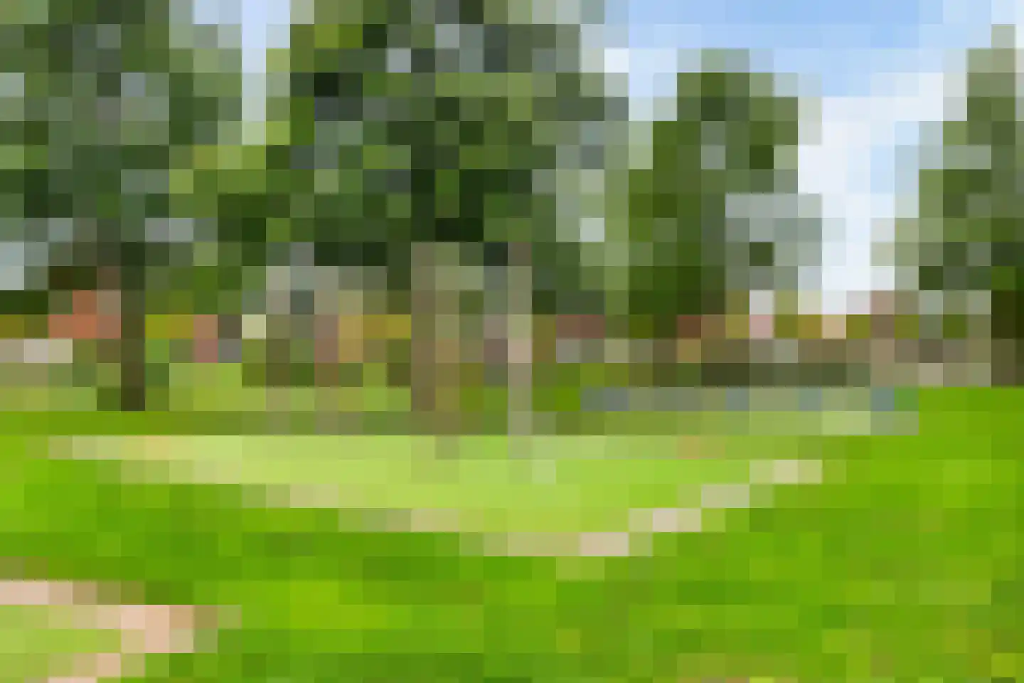 Essenlaan 12 Woudenberg thumbnail 34