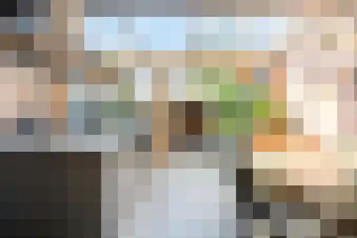 Essenlaan 13 Oudorp thumbnail 7