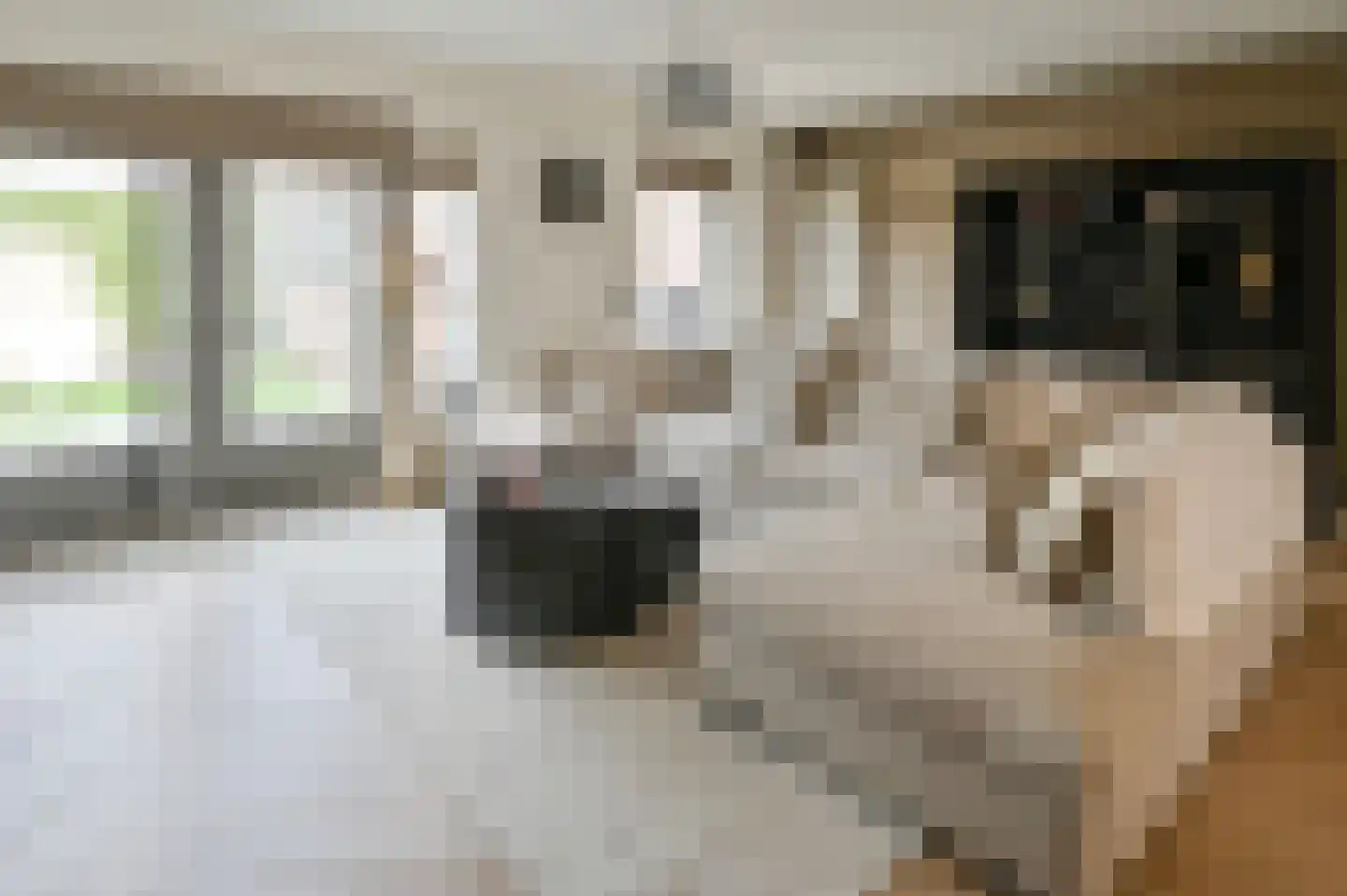 Essenlaan 143 Zwanenburg thumbnail 6