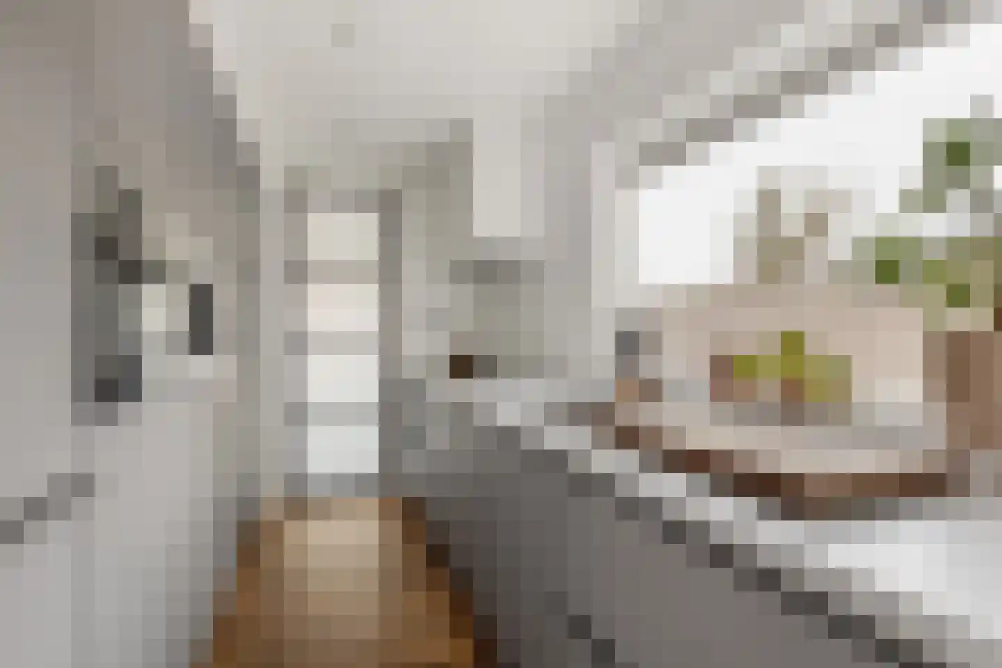 Essenlaan 149 Zwanenburg thumbnail 10