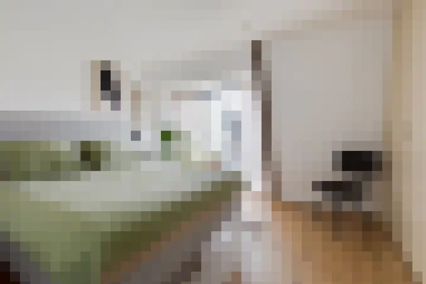 Essenlaan 149 Zwanenburg thumbnail 22