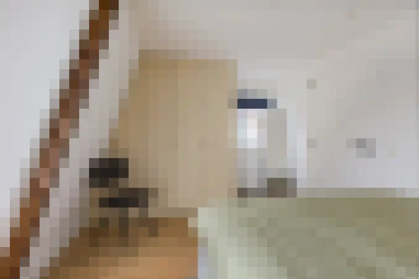 Essenlaan 149 Zwanenburg thumbnail 24