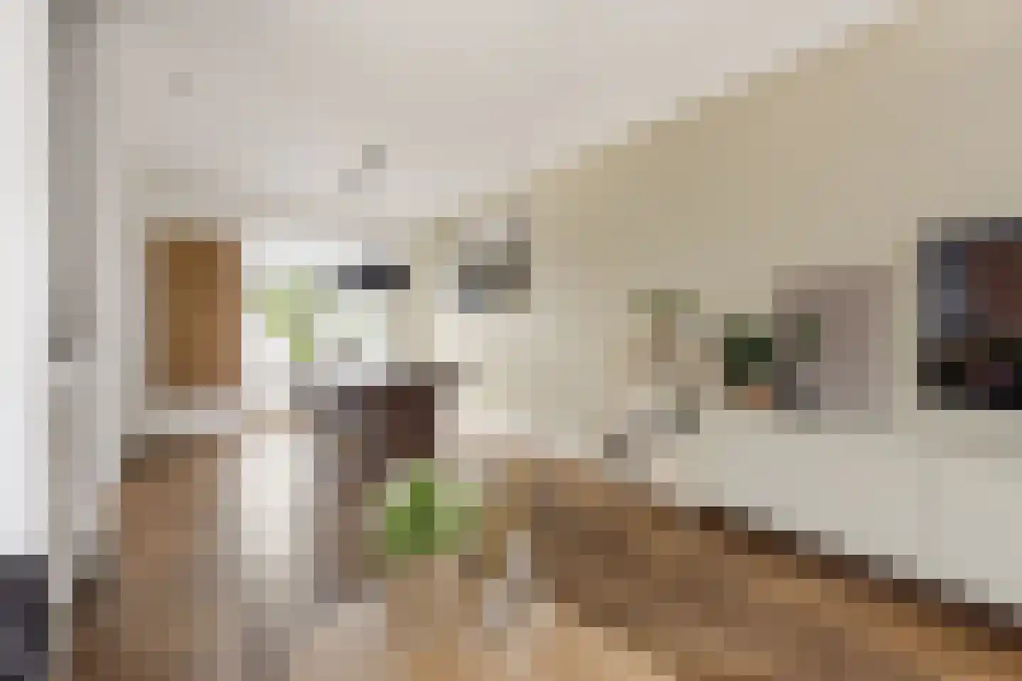 Essenlaan 149 Zwanenburg thumbnail 6