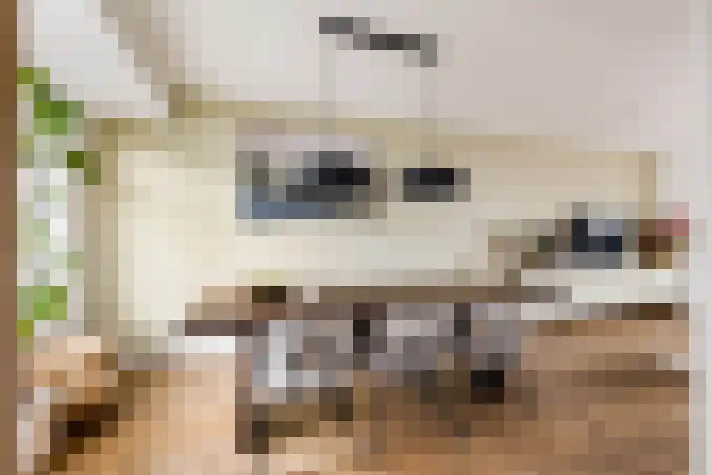 Essenlaan 149 Zwanenburg thumbnail 7