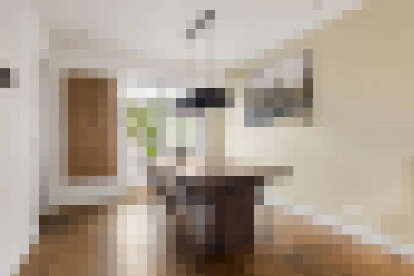Essenlaan 149 Zwanenburg thumbnail 8