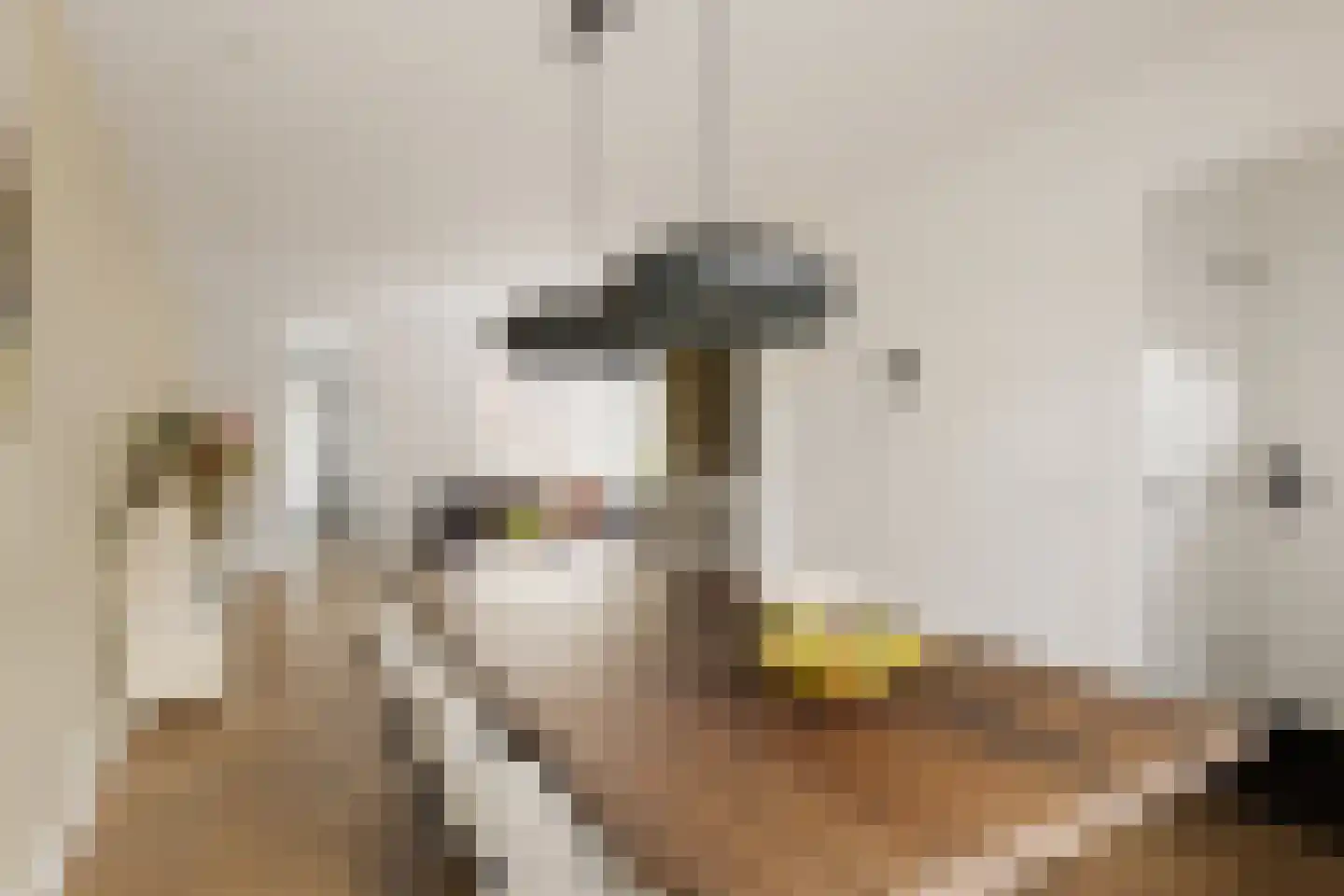 Essenlaan 149 Zwanenburg thumbnail 9
