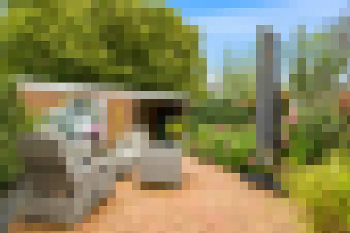 Essenlaan 16 Oudorp thumbnail 16