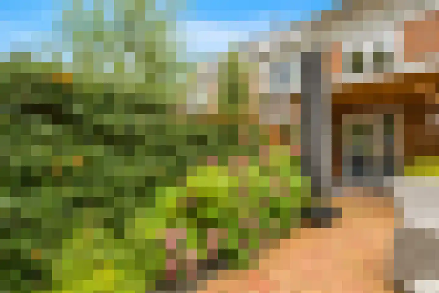 Essenlaan 16 Oudorp thumbnail 18