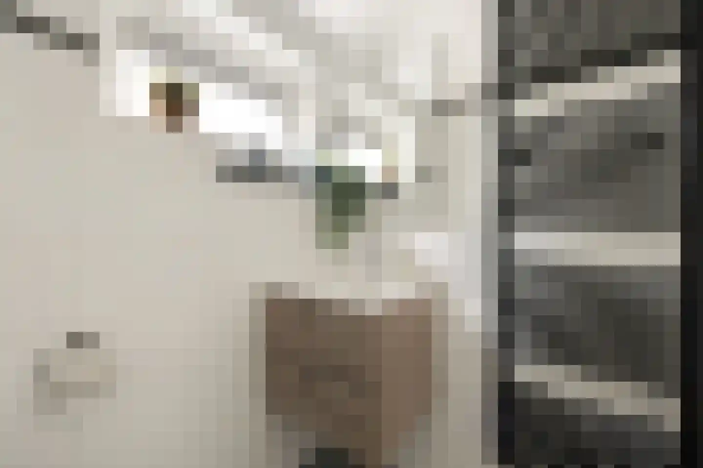 Essenlaan 16 Oudorp thumbnail 24