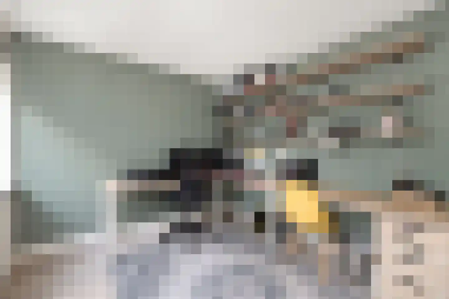 Essenlaan 16 Oudorp thumbnail 26