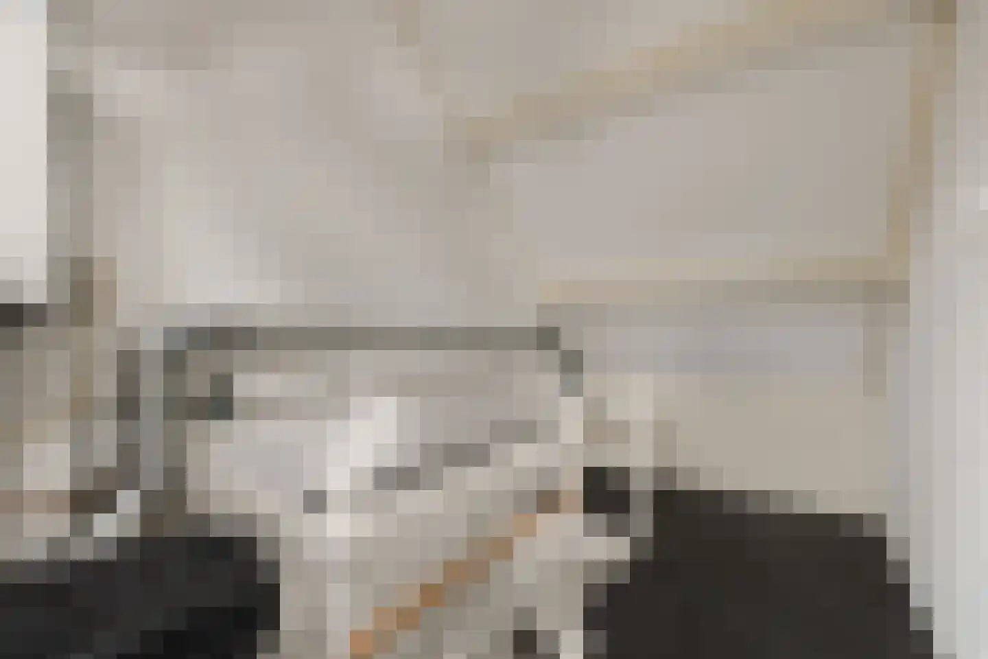 Essenlaan 16 Oudorp thumbnail 31