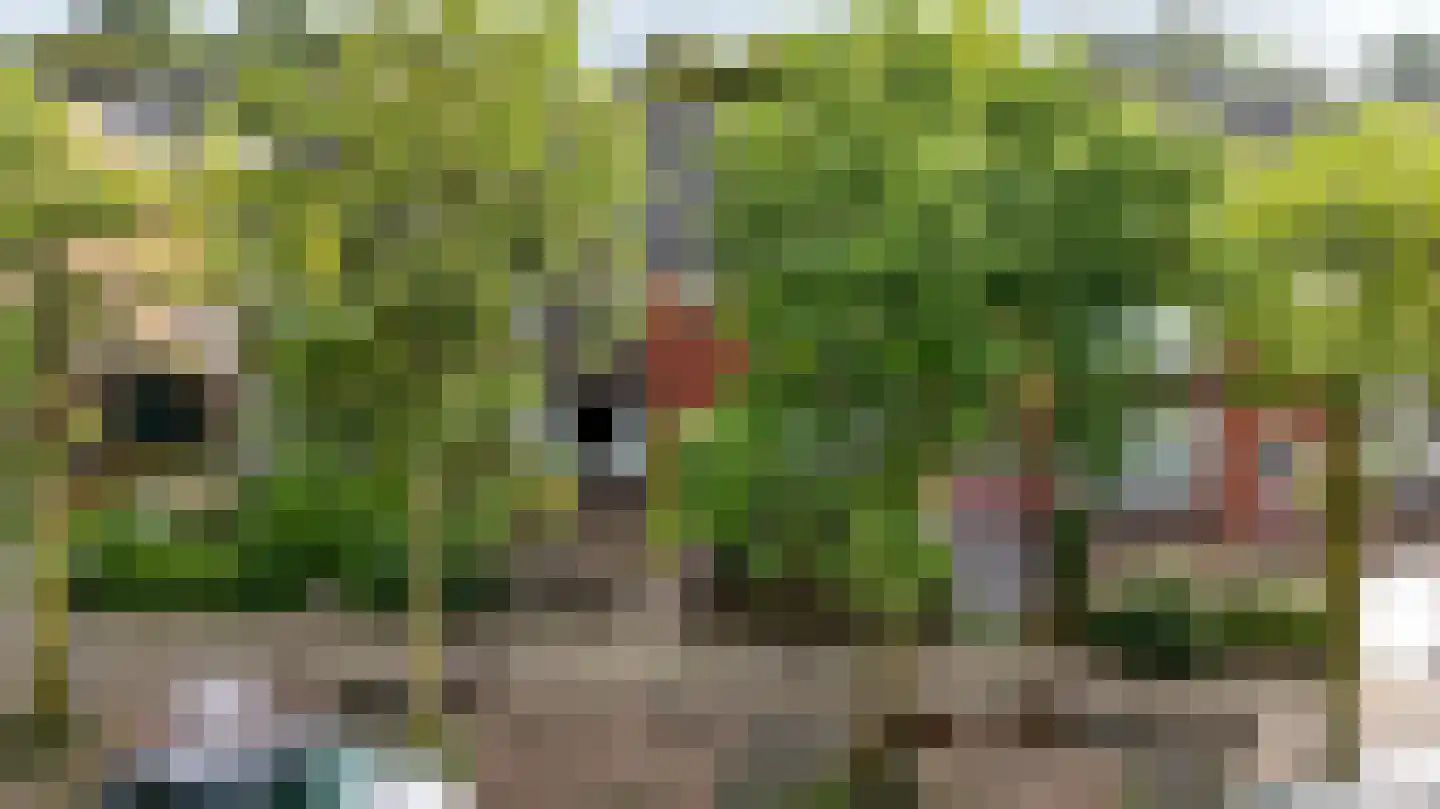 Essenlaan 16 Oudorp thumbnail 35