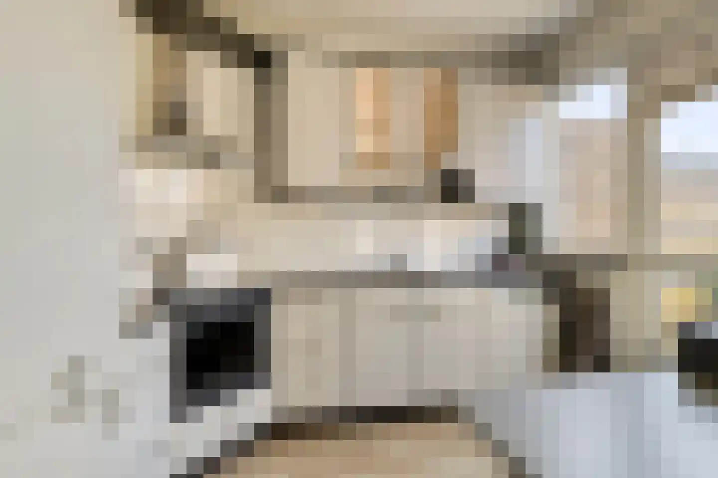 Essenlaan 18 Ouderkerk aan den IJssel thumbnail 11
