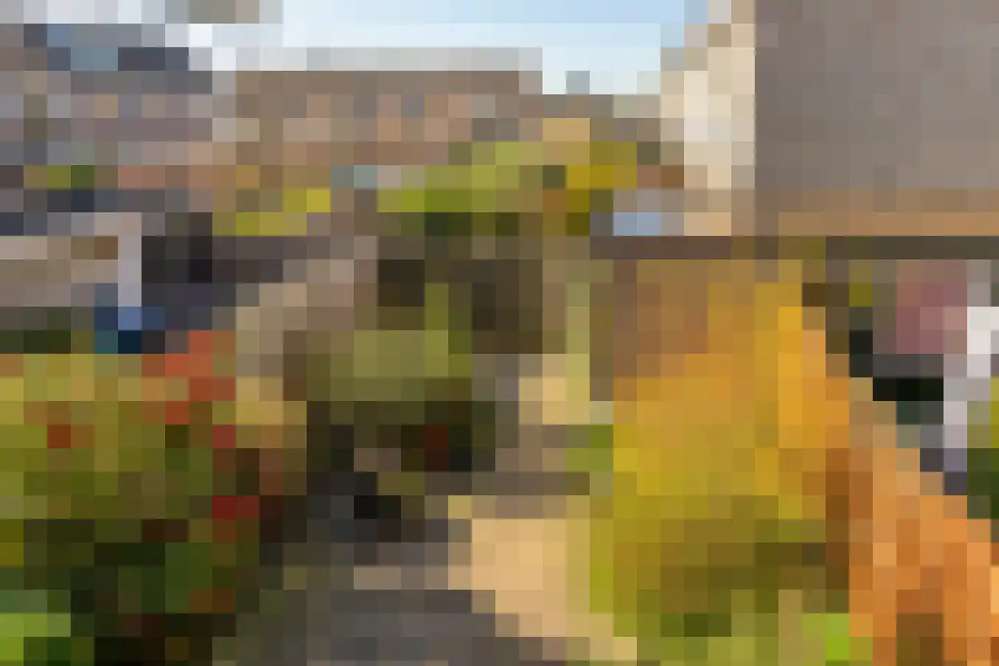 Essenlaan 18 Ouderkerk aan den IJssel thumbnail 29