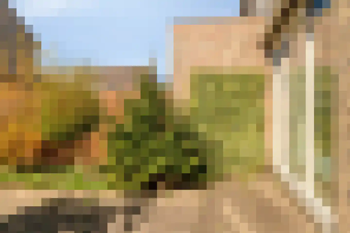 Essenlaan 18 Ouderkerk aan den IJssel thumbnail 31