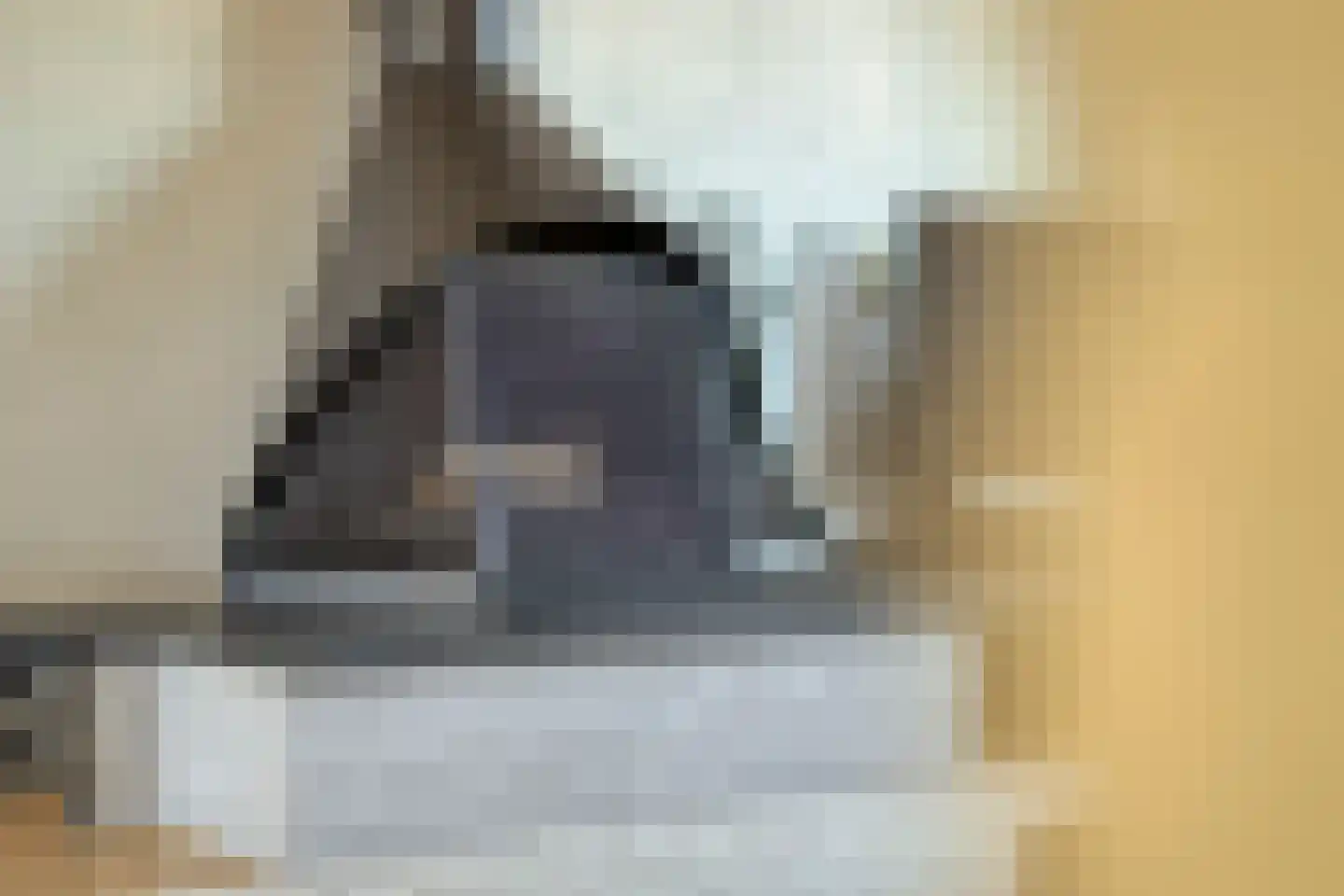 Essenlaan 18 Ouderkerk aan den IJssel thumbnail 9