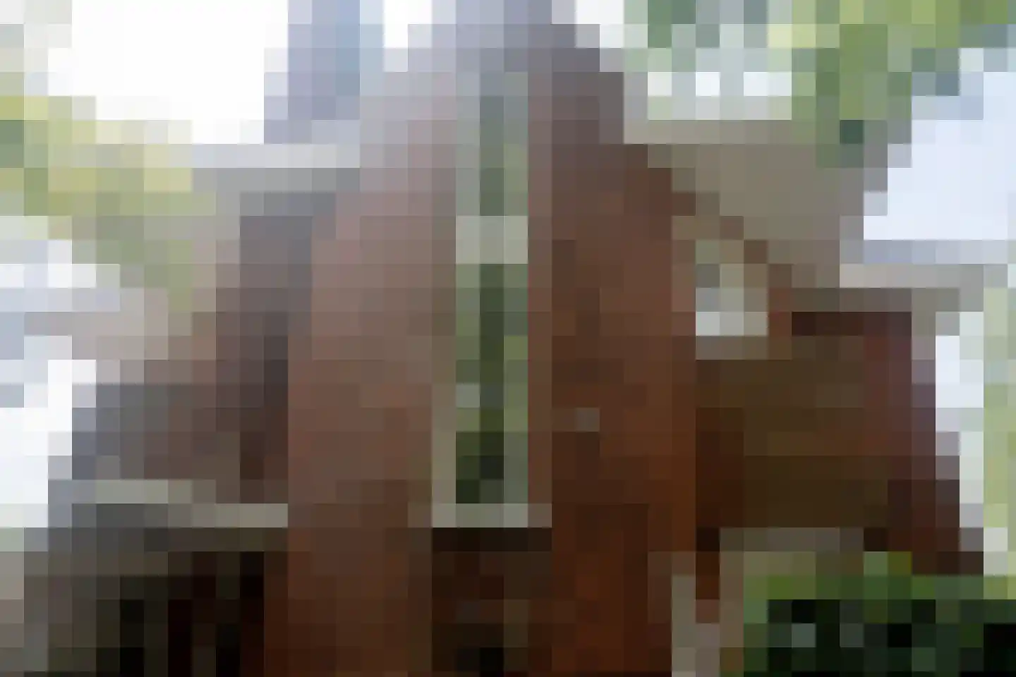 Essenlaan 19 Bloemendaal thumbnail 38