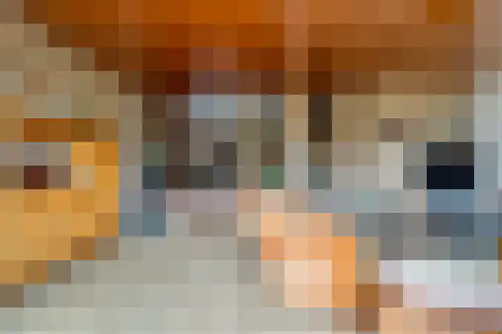 Essenlaan 19 Woerden thumbnail 15