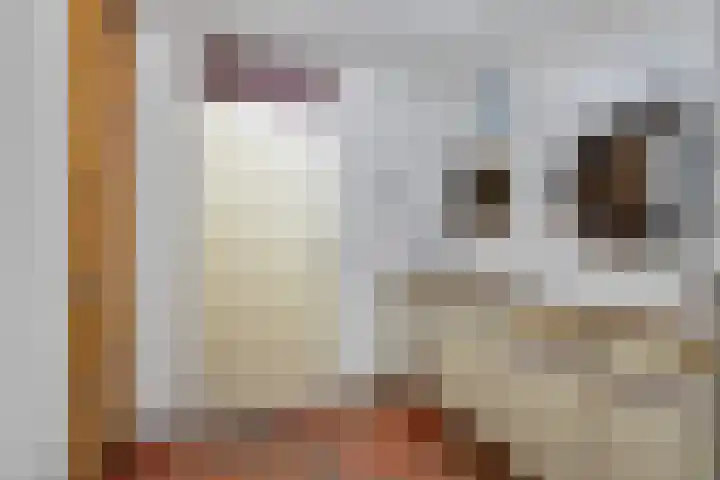 Essenlaan 19 Woerden thumbnail 40