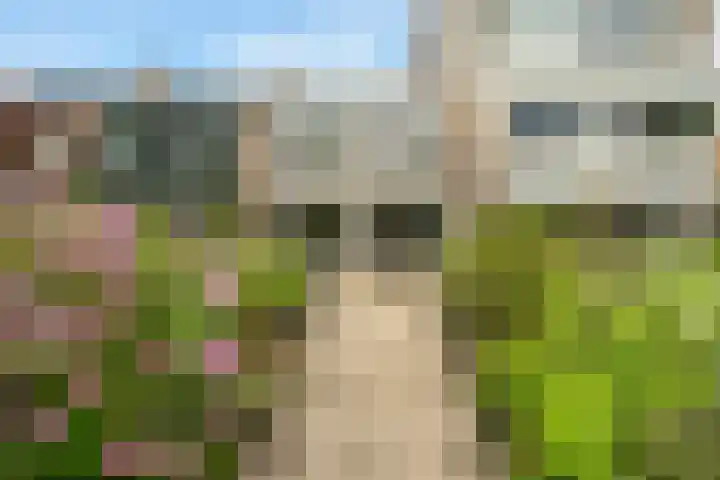 Essenlaan 19 Woerden thumbnail 42