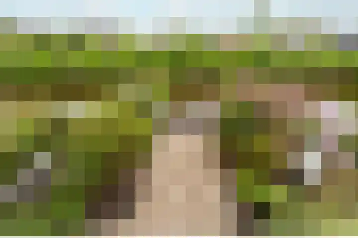 Essenlaan 19 Woerden thumbnail 43