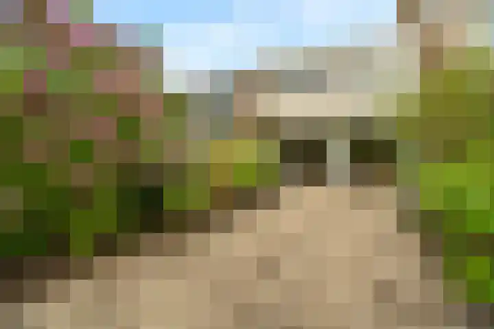 Essenlaan 19 Woerden thumbnail 47